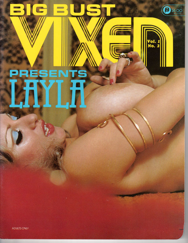 Big Bust Vixen - V1 #2